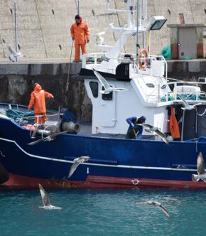 Projeto facilita habilitação de aquaviário para pescadores