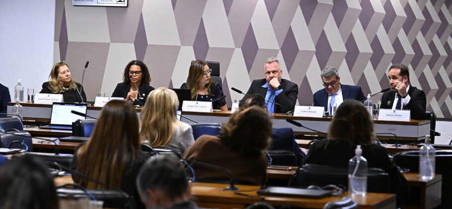 Conceito e questões de saúde contrapõem debatedores sobre ultraprocessados