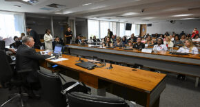 Em audiência, feirantes do DF relatam medo de perder locais de trabalho