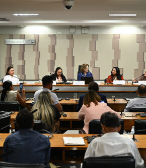 CDH: violência e falta de estrutura ameaçam atendimento à saúde indígena