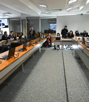 CSP pode votar porte de arma para mulheres com medida protetiva